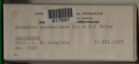 Image Associated With the Occurence